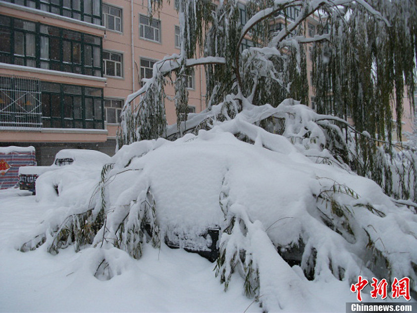 张家口蔚县暴雪纪录刷新 积雪深达44厘米