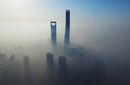 上海大雾锁城